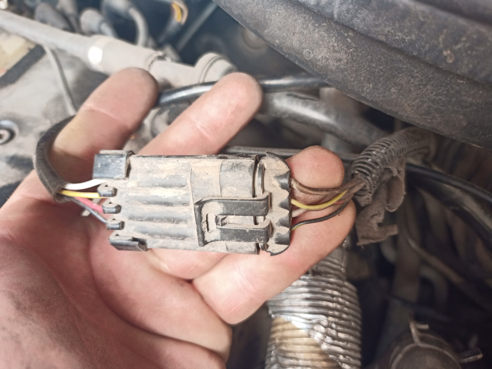 Розпинування лямбда зонда до ЕБУ Simens Simtec 56.00 3