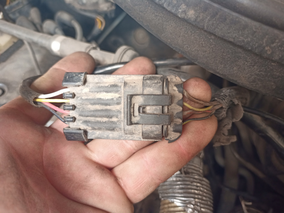 Розпинування лямбда зонда до ЕБУ Simens Simtec 56.00 2