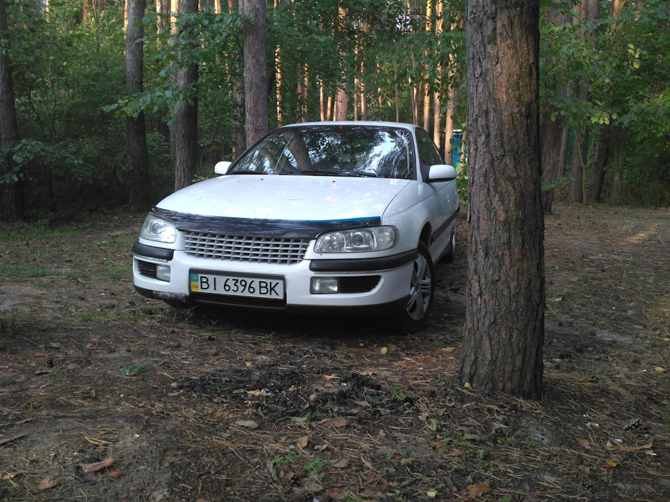 решітка Steinmetz Opel Omega b 4