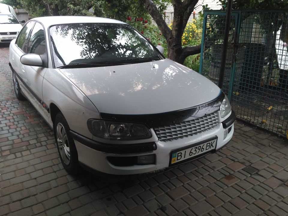 решітка Steinmetz Opel Omega b 2