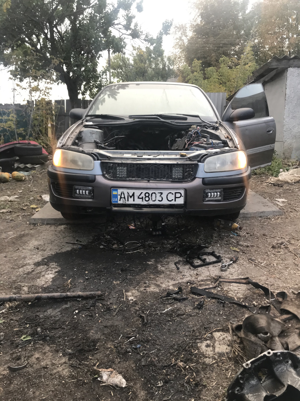 Американки 2