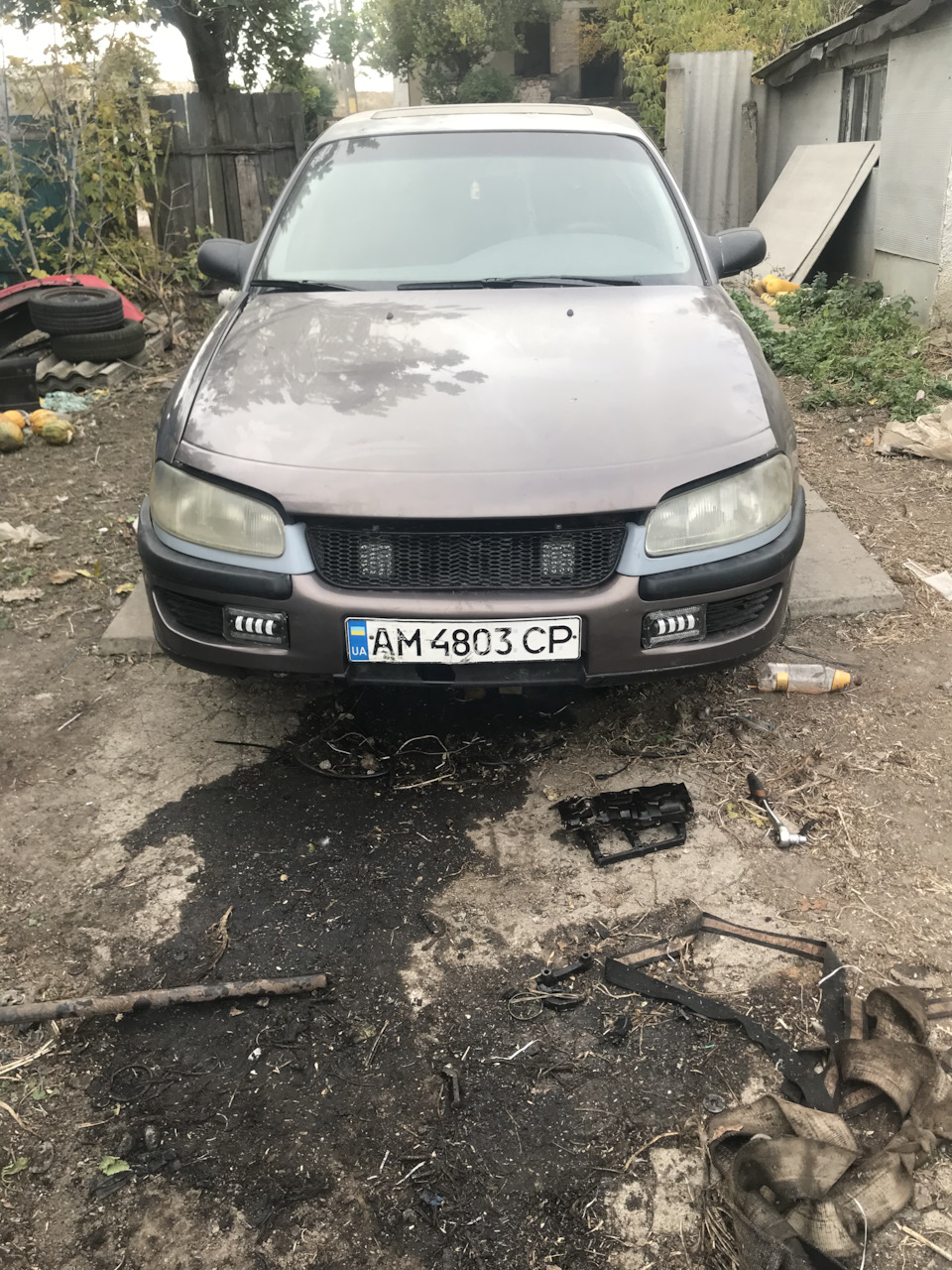 Льод птф 5