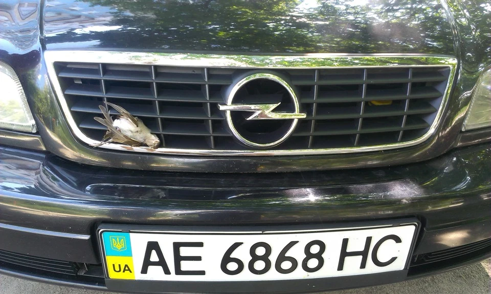 Сюрприз на трасі.