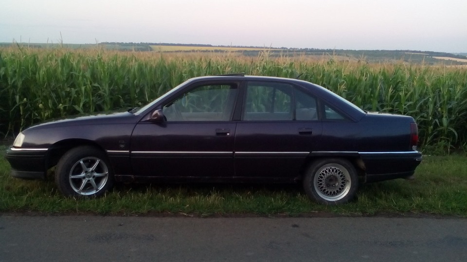 Продам свою ластівку 4
