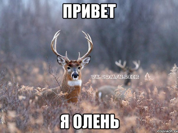 Прокладка ГБЦ. Частина 1 4 1