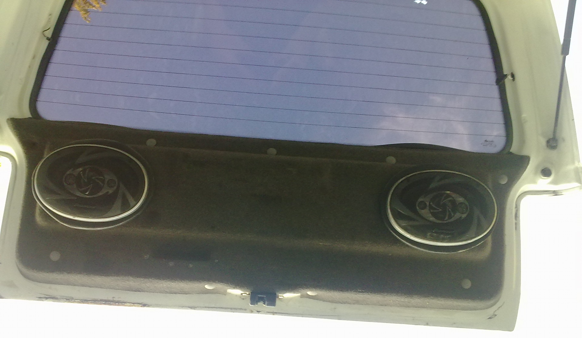 Трохи сьогоднішніх фото. 5
