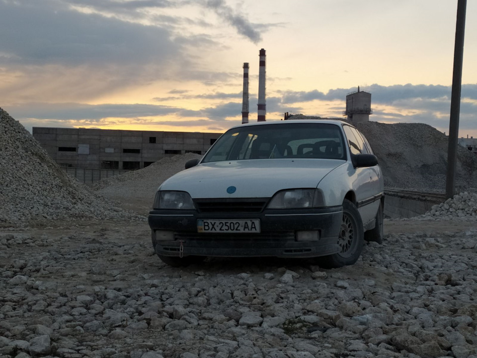 Зиму пережили, треба продовжувати. 5