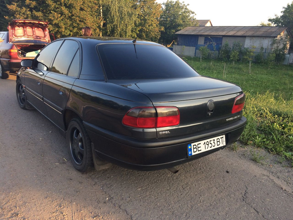 Історія про те, як мало не купиви майже перевертня... 5