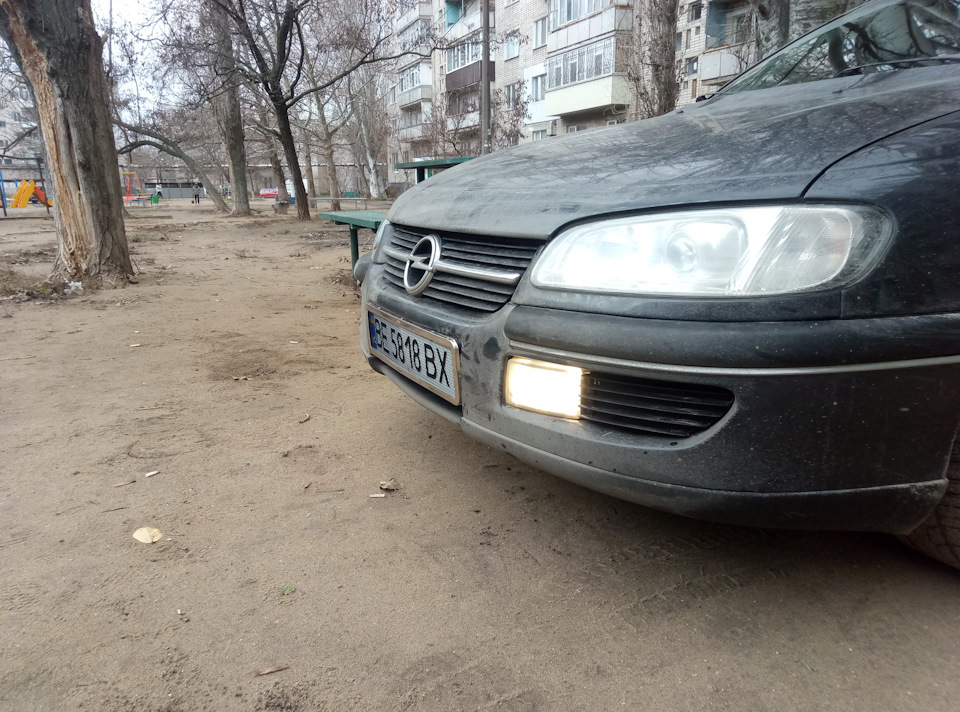 Дрібний тюнінх) 1