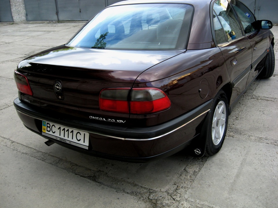 Більше, ніж фото… 5