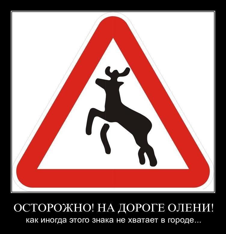 Ура диво відбулося! 1
