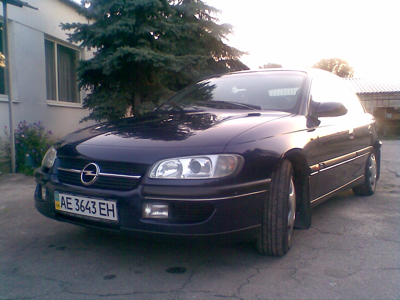 Помилися 1
