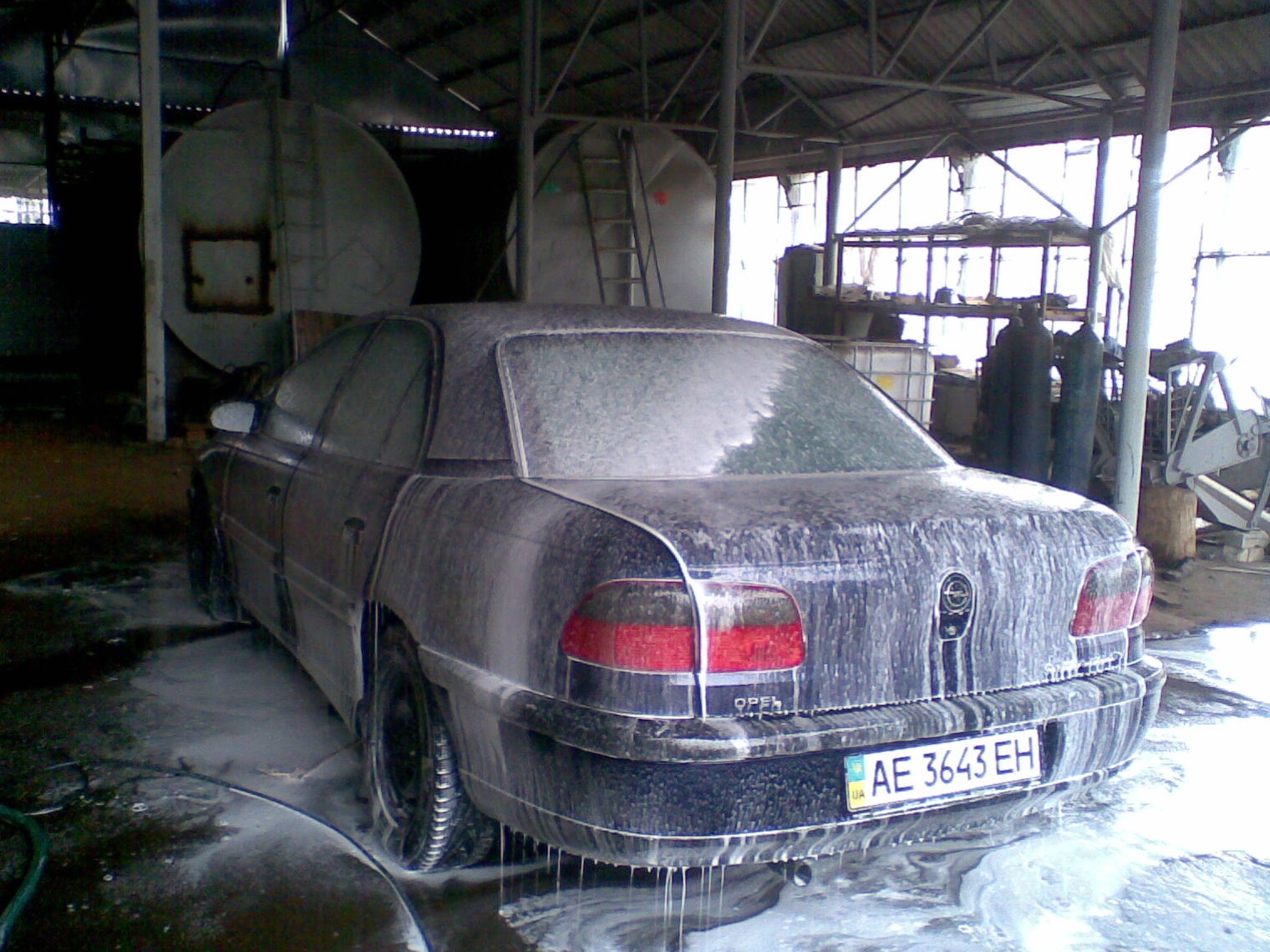 Помилися 4
