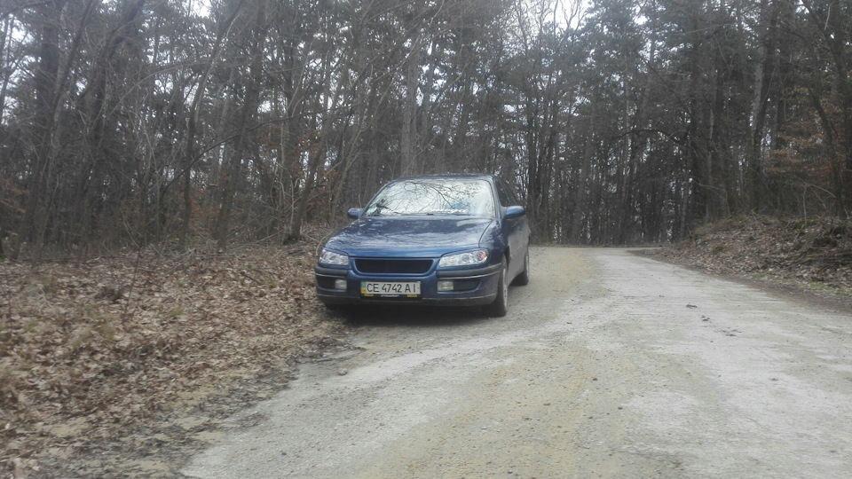 Покотушки 2