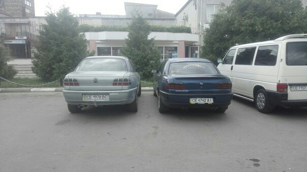 Зустріч зі Славиком 1