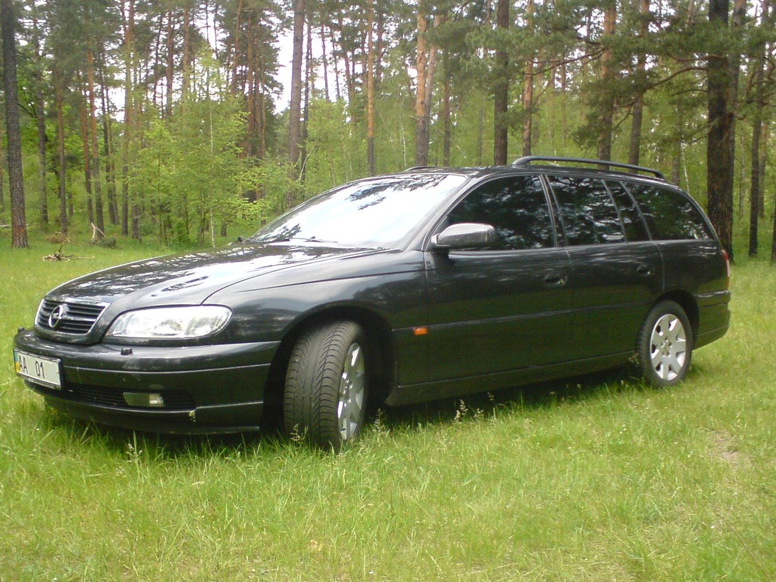 Фоточки на природі :) 5