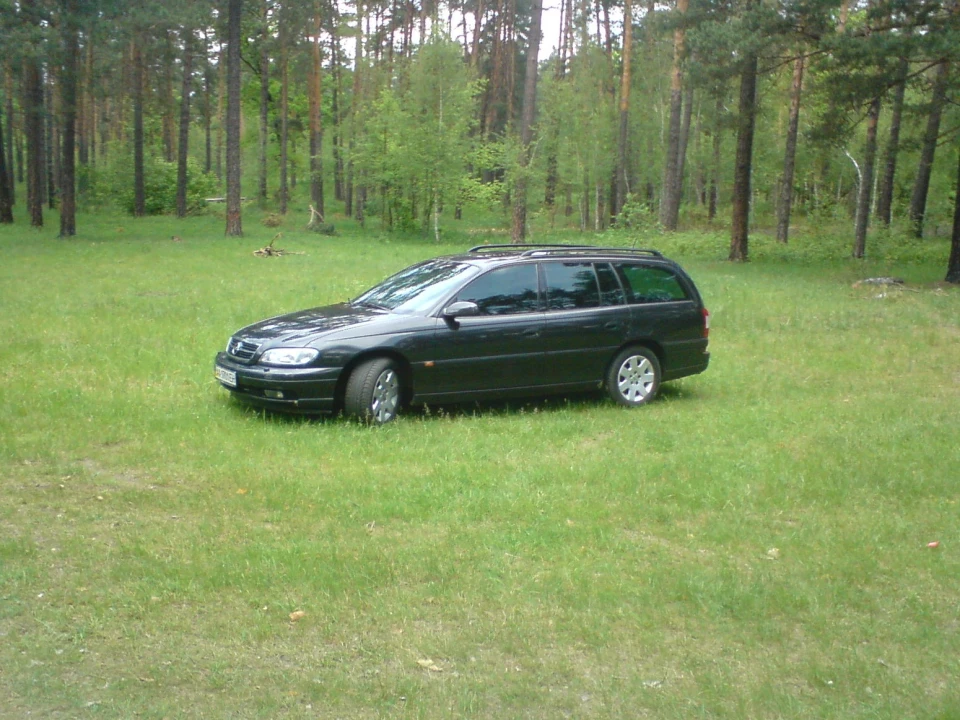 Фоточки на природі :)