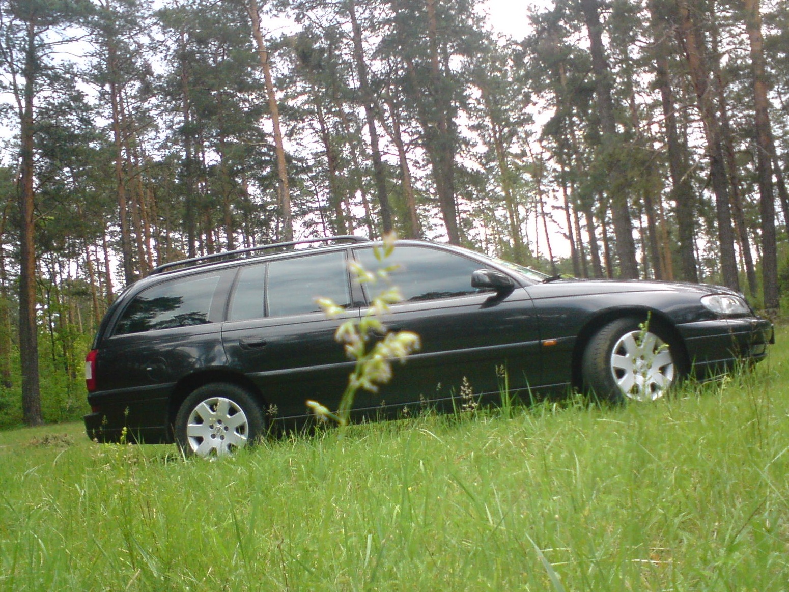 Фоточки на природі :) 3
