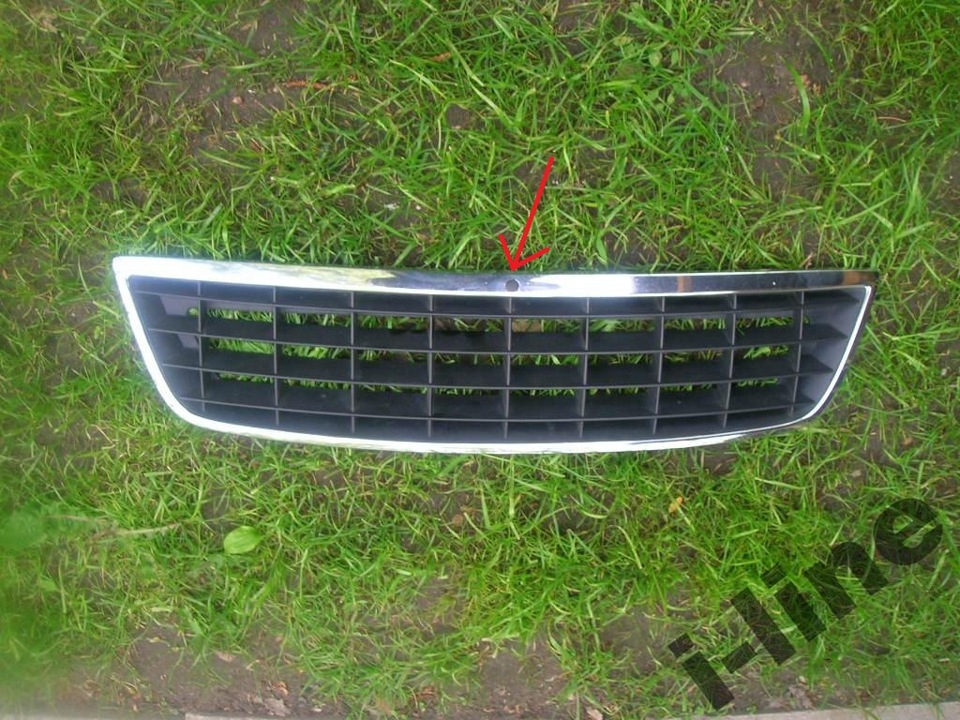 Грати Irmscher 1