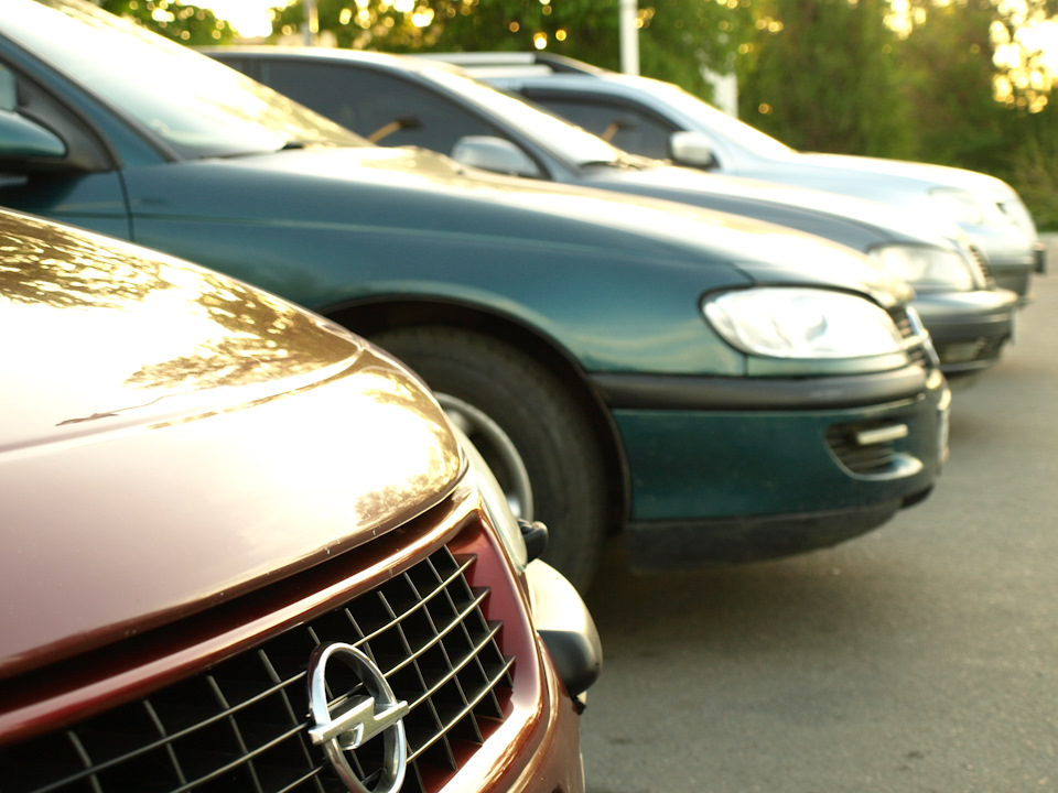 Зустріч Opel Omega Club у Кременчуці 2