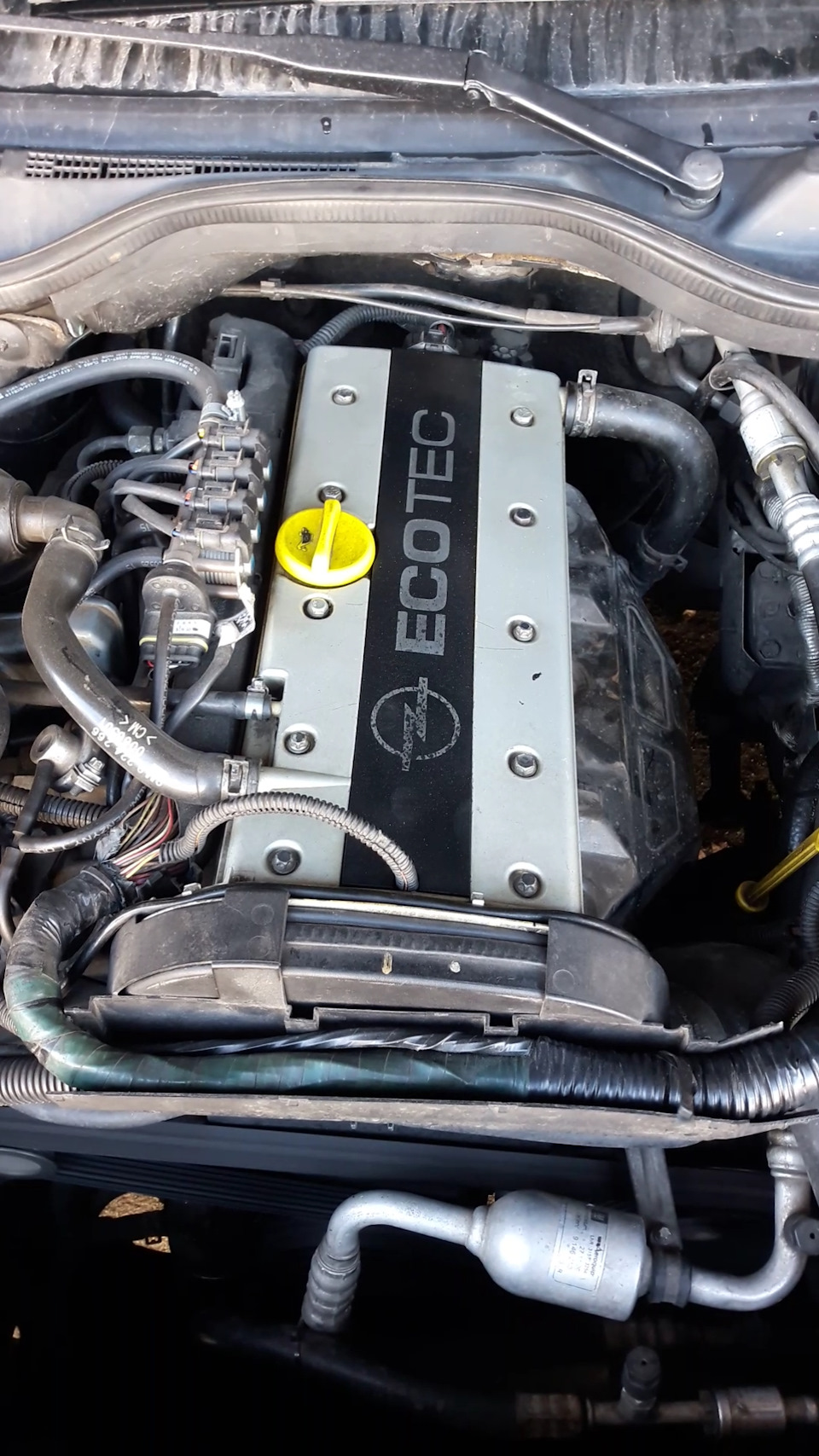 Хто знає про піддон z22xe? 1
