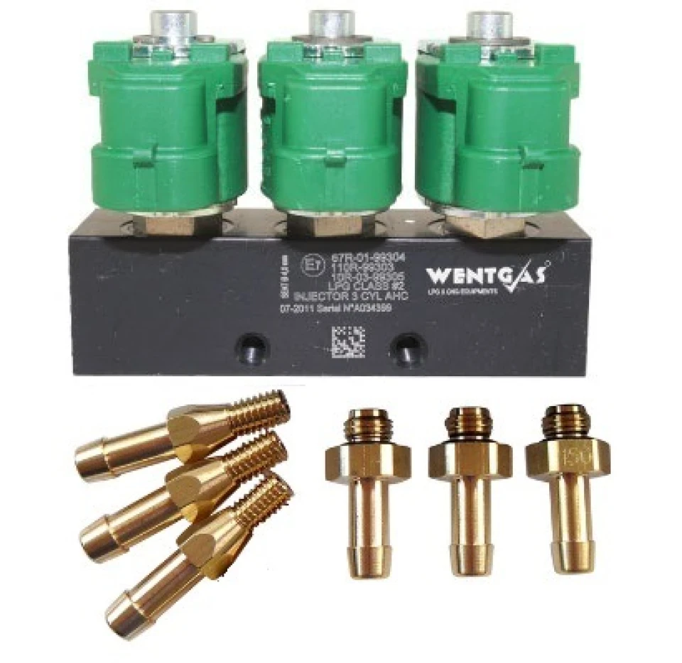 Установка ГБО 4. WentGAS