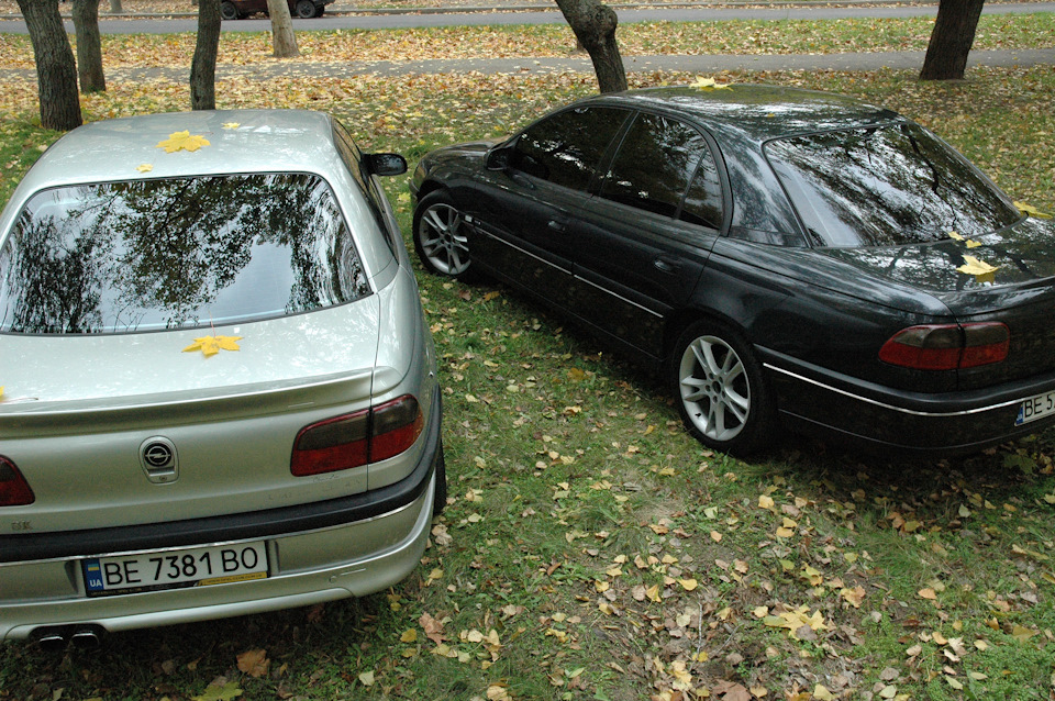 Осіння фотосесія 3