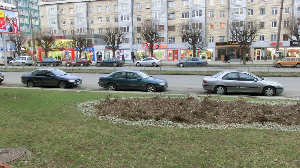 Скільки Омег на фото? :) 1