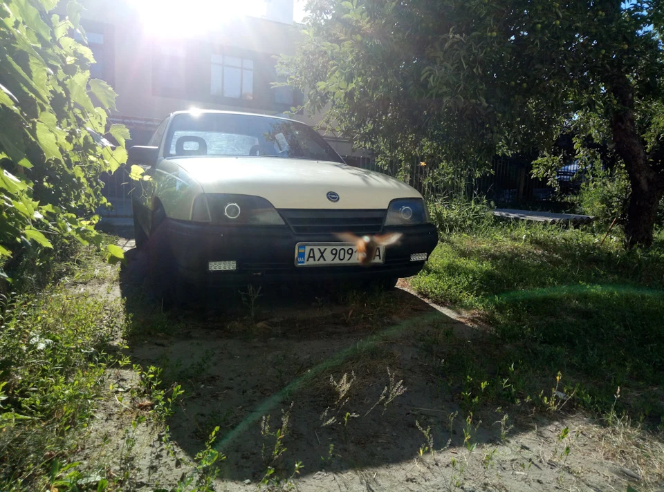 Огляд стану кузова омеги після миття