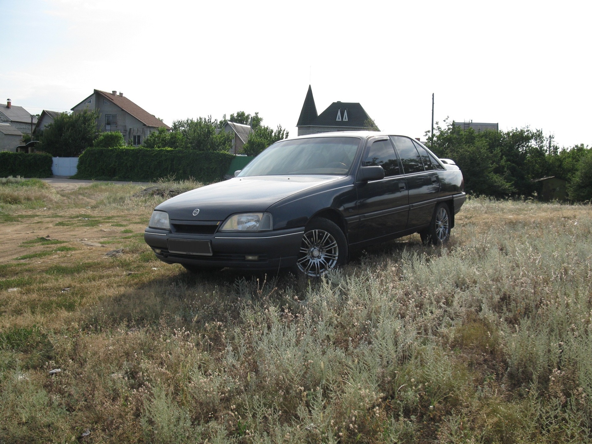 Нові фото на природі 2