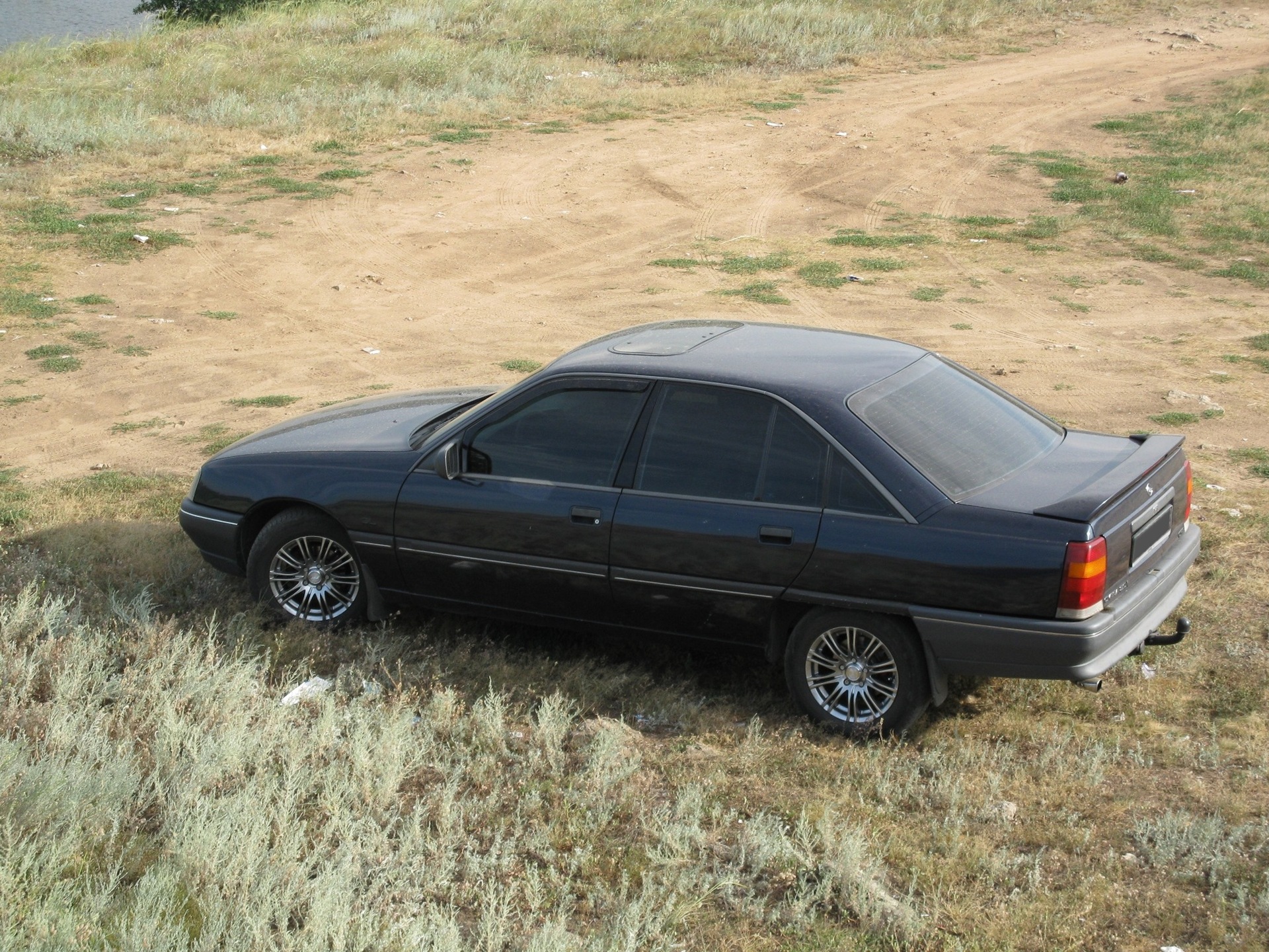 Нові фото на природі 5