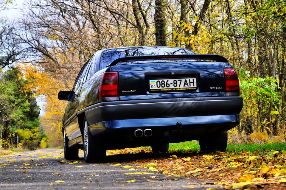Осінній фотосет 2014 1