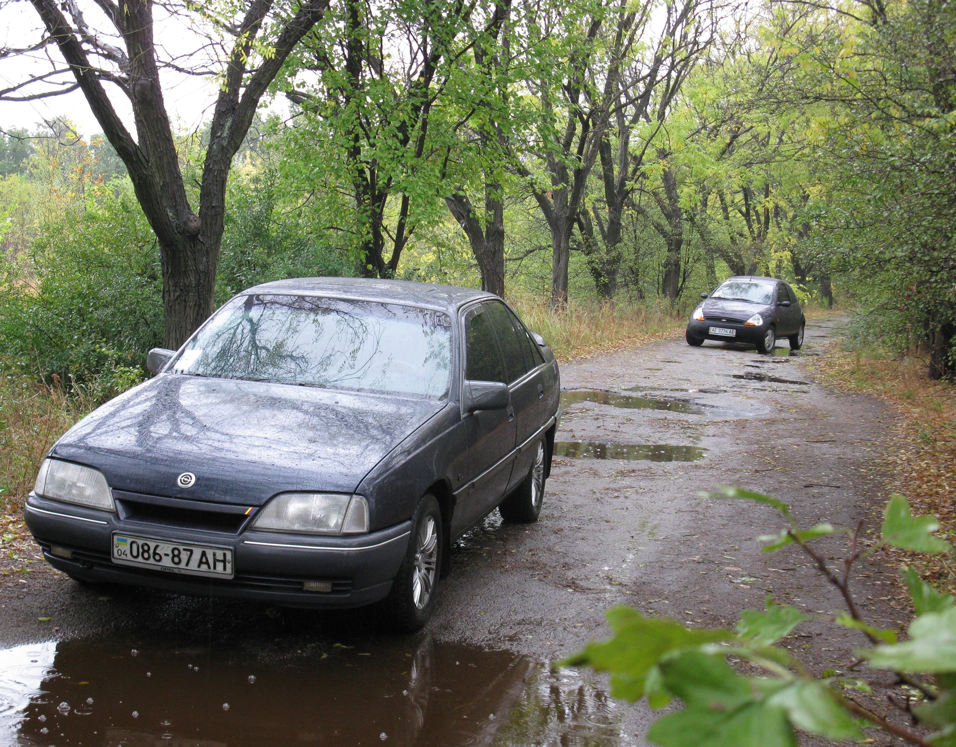 Осінній фотосет під час дощу 4