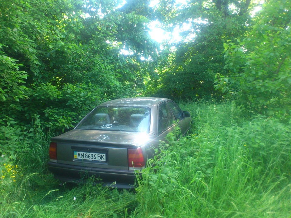 Дрібниці та труднощі 2