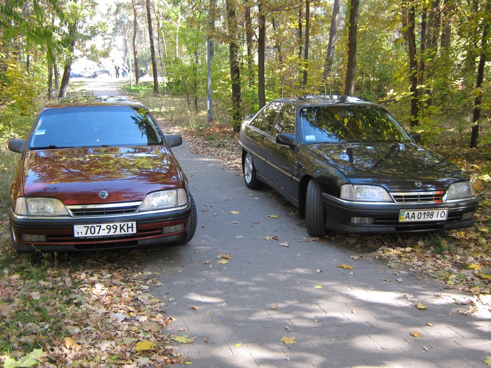 Настрій - осінь) 2