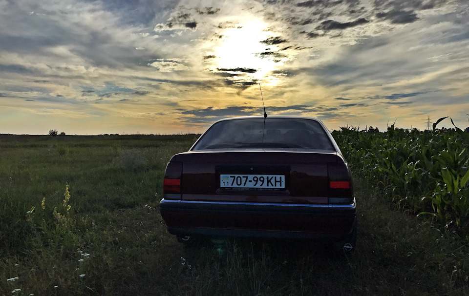 Оміжка мандрівниця) 1