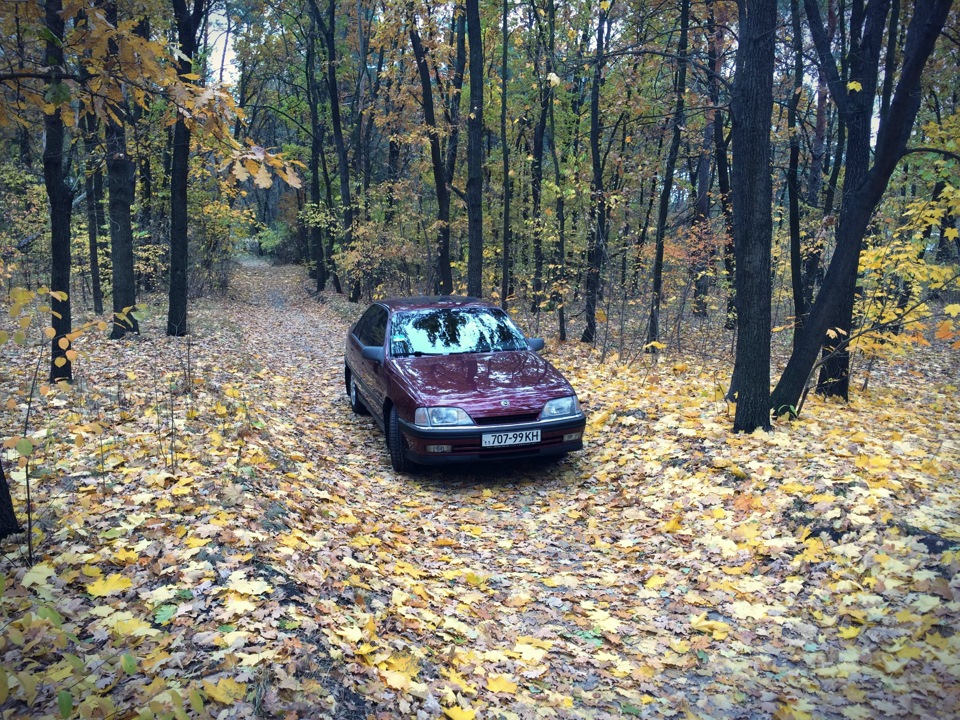Осінні фарби 4