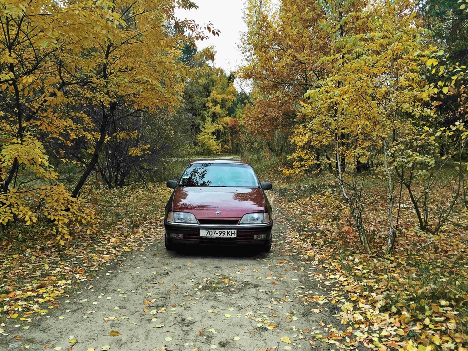 Осінні фарби 1
