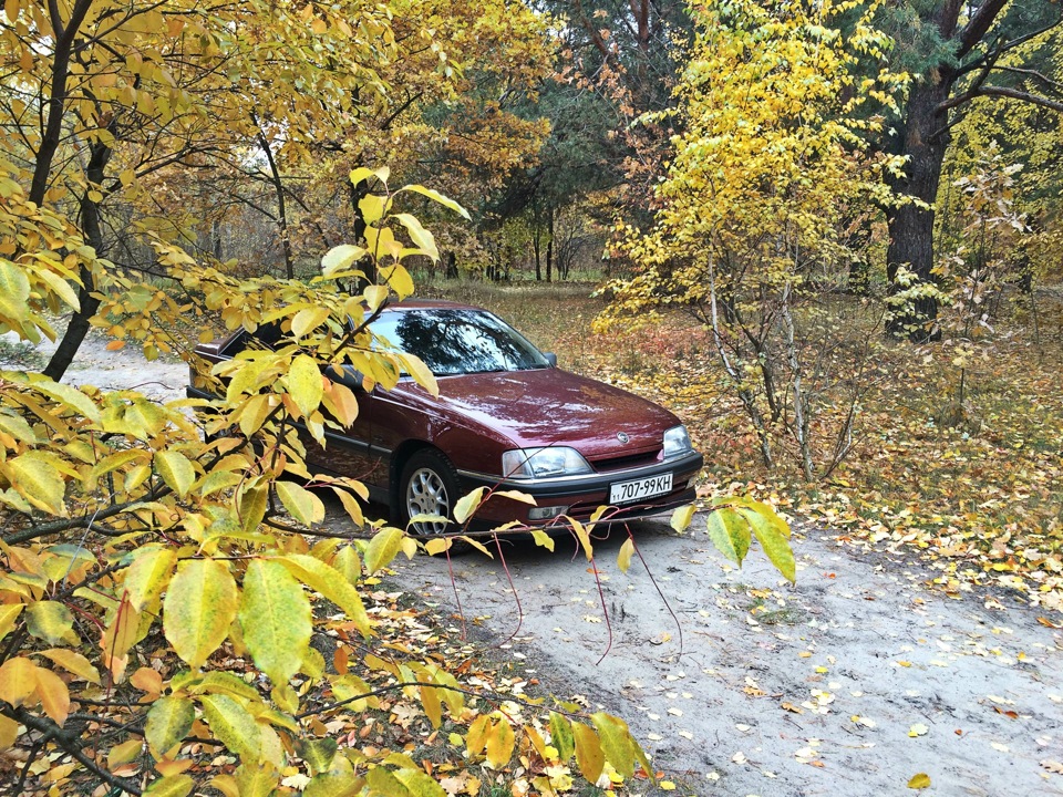 Осінні фарби 2
