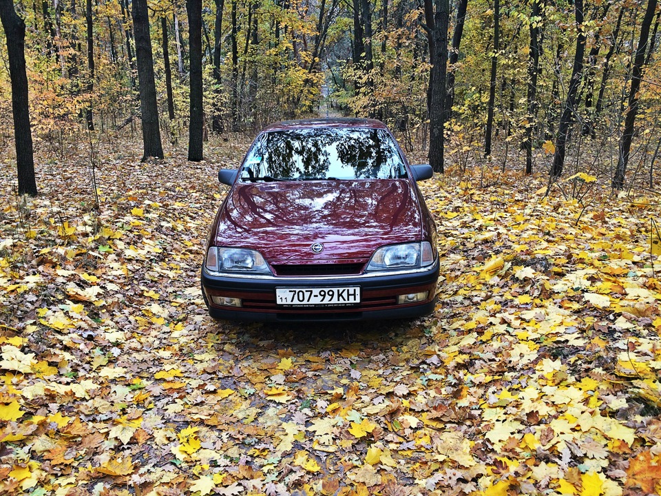 Осінні фарби 3