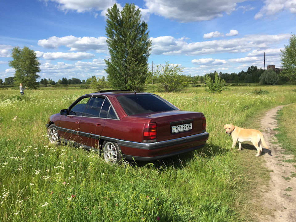 Самер холідейс)) 4
