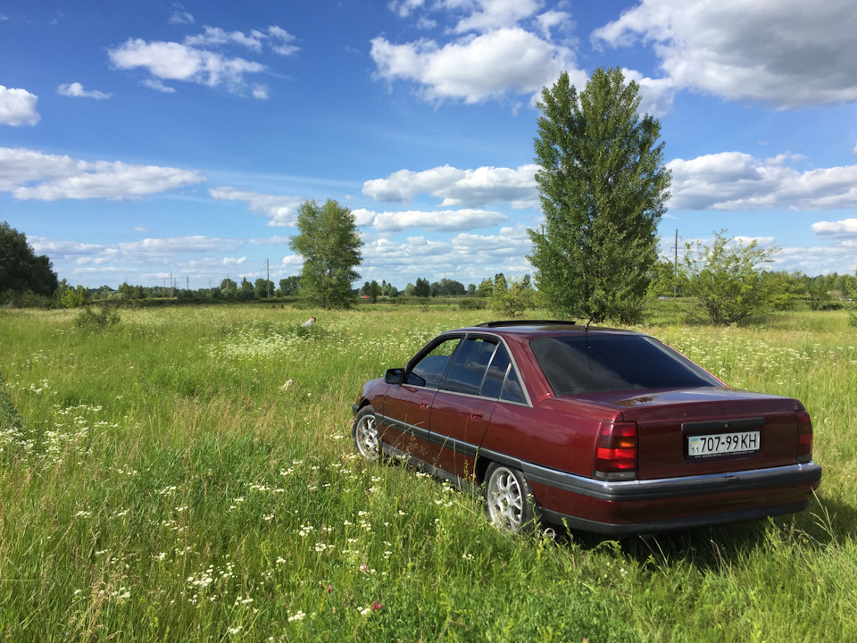 Самер холідейс)) 5