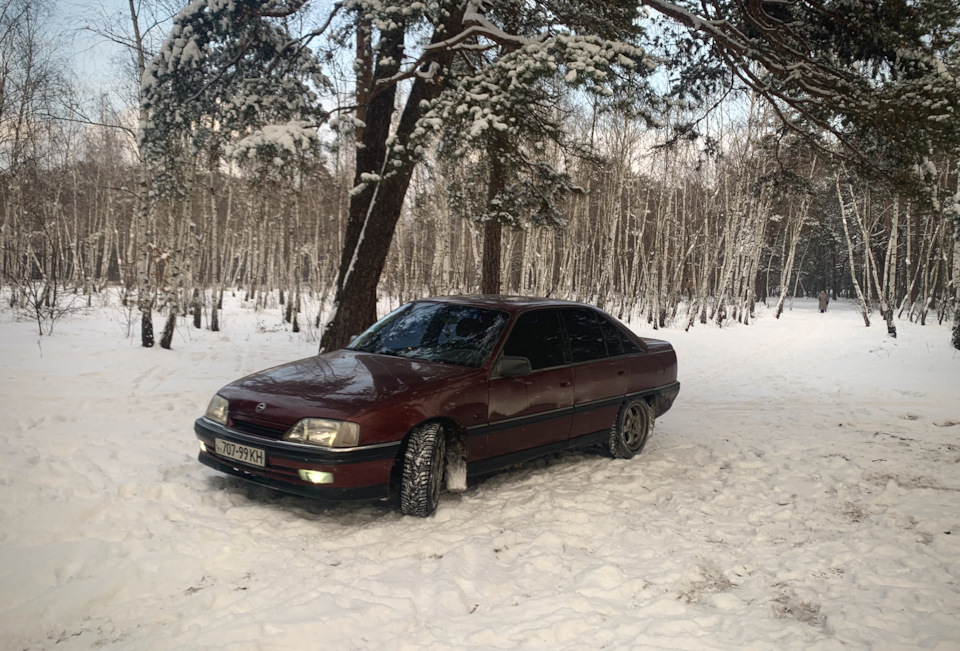 У лісі) 1