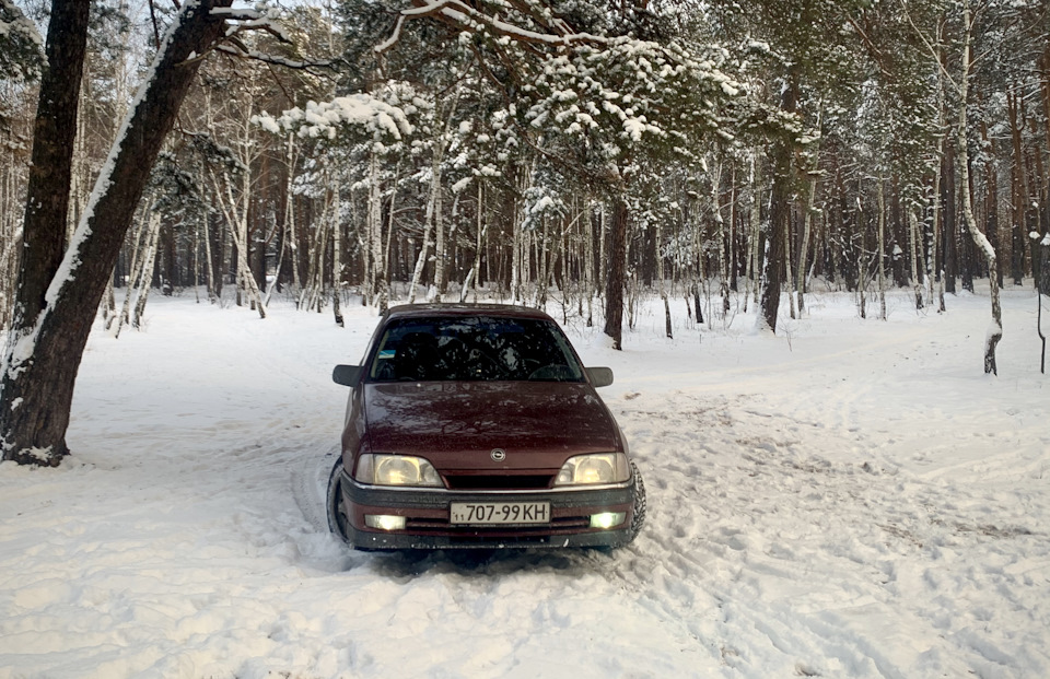 У лісі) 2