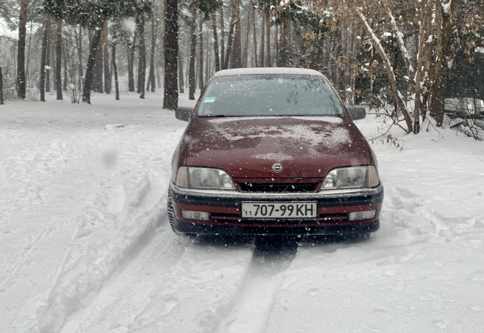 У лісі) 5