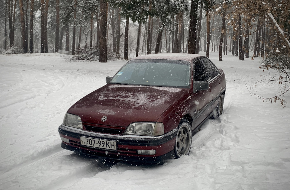 У лісі) 3