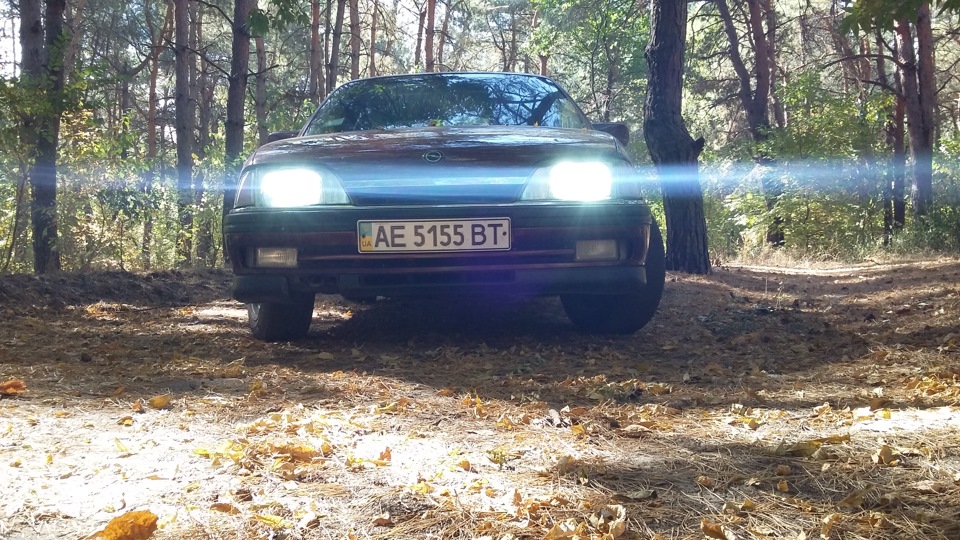 Оздоблення на весіллі) 2