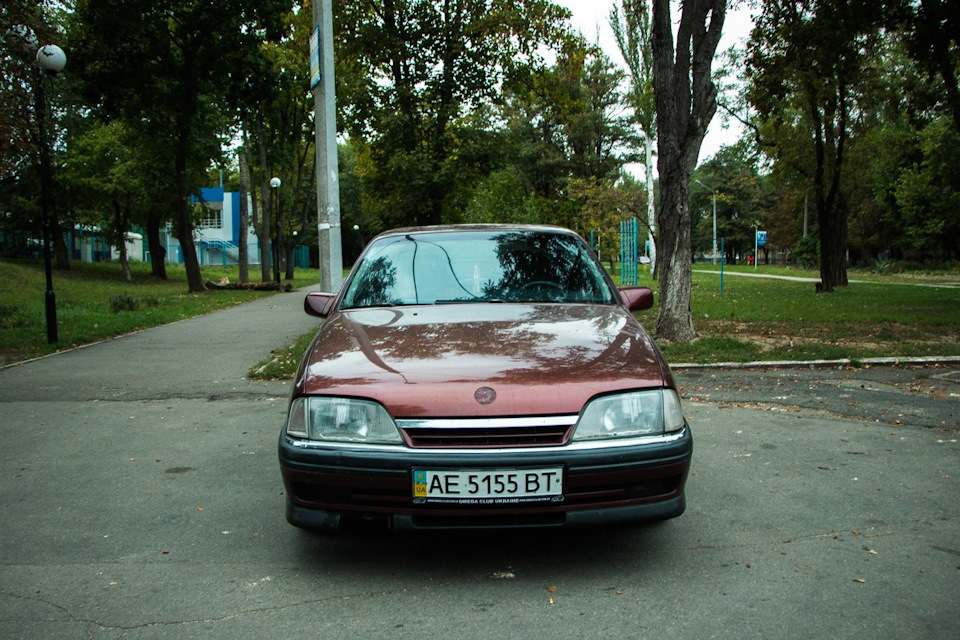 Півроку нічого 3