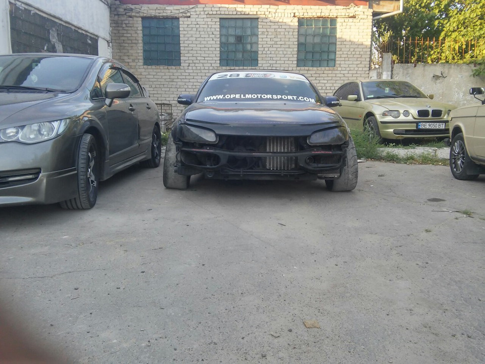 Дрифтовий корч, Ждун, продаж ніштяків + обмін дисків. 3