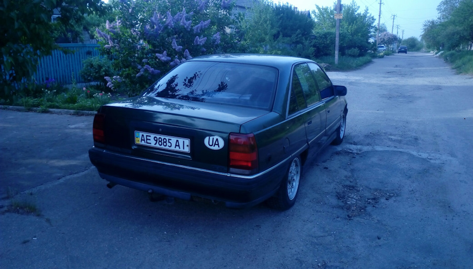 Фоточки і трохи ніштяків) 2